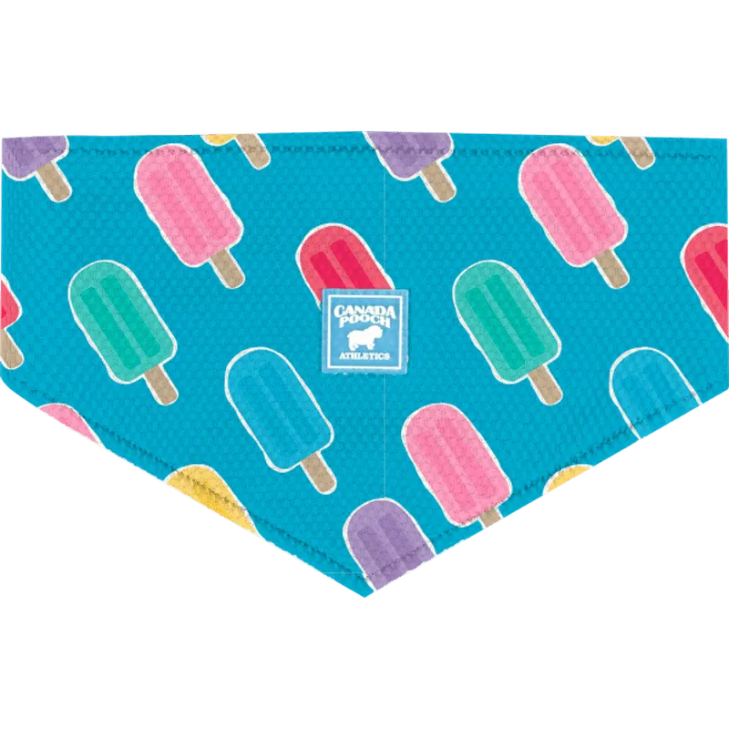 Canada Pooch Cooling Bandana Popsicles