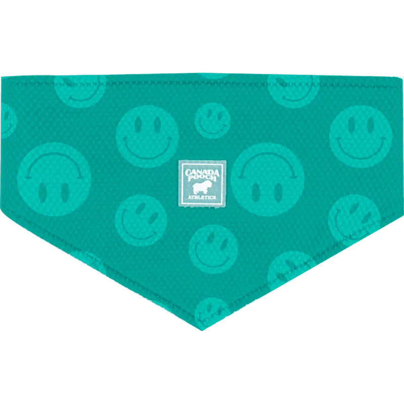 Canada Pooch Cooling Bandana WetRveal Smiley Grn