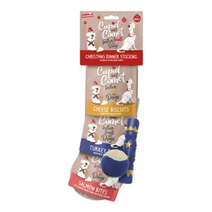 Dog Christmas Dinner Stocking