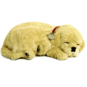 Golden Retriever Soft Bundle