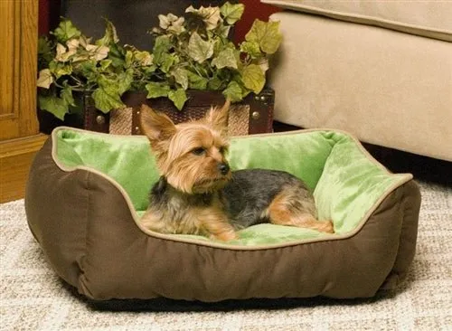 Self-Warming Lounge Sleeper in Mocha-Green